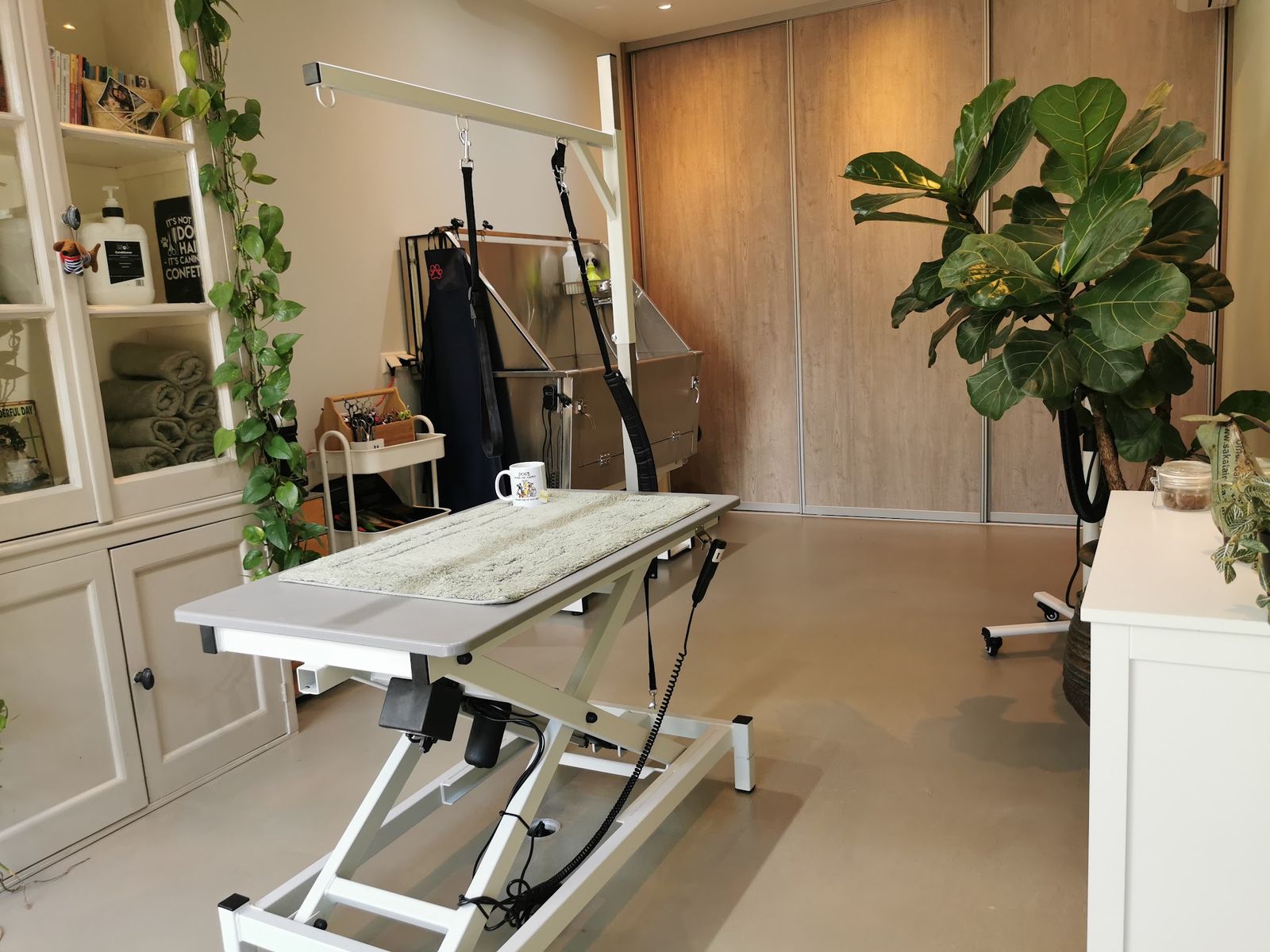 De trimtafel naast een witte kast met opgerolde handdoeken, een hangplant en een grote vioolbladplant