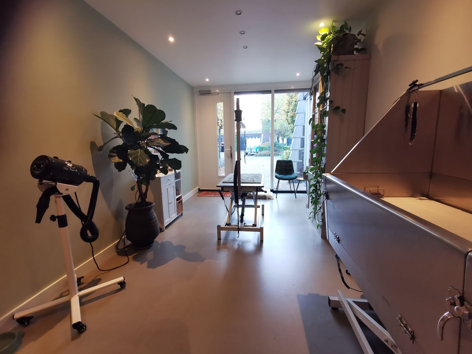 De salon van Trimsalon Aukje: een elektrische trimtafel bij de glazen pui, planten, een groene stoel en rechts de wasbak