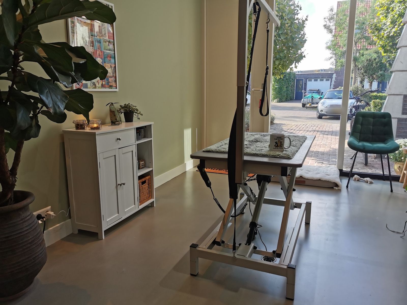 De salon met een saliegroene muur, een witte kast en de trimtafel voor het raam